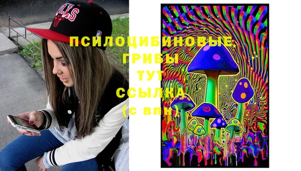дурь Алексеевка
