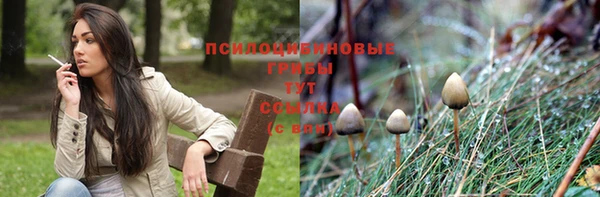 прущие крисы Алексин