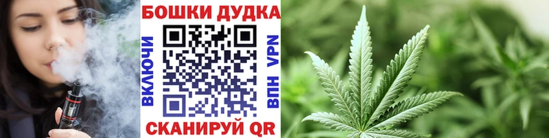 Каннабис сатива  Динская 